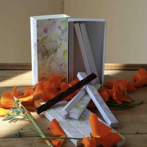 Coffret 10 barrettes individuelles